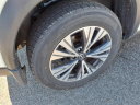 Thumbnail image of 2023 Nissan Rogue at Nissan 46