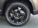 Thumbnail image of 2025 Subaru Forester at Goldstein Subaru