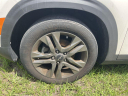 Thumbnail image of 2023 Kia Seltos at Regal Automotive (Kia Chevy)