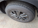 Thumbnail image of 2024 Nissan Pathfinder at Nissan 46