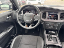 Thumbnail image of 2023 Dodge Charger at Chrysler Dodge Jeep Ram of Southfield