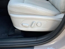 Thumbnail image of 2025 Kia Sorento at JenkinsKiaOfGainesville-New of Gainesville, FL