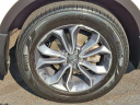 Thumbnail image of 2022 Honda CR-V at J L Freed Honda (Used)