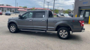 Thumbnail image of 2019 Ford F-150 at Les Stumpf Ford - New and Used