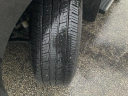 Thumbnail image of 2021 Chevrolet Silverado 1500 at EriksChevroletUSED of Kokomo, IN