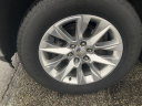 Thumbnail image of 2021 Chevrolet Silverado 1500 at EriksChevroletUSED of Kokomo, IN