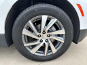 Thumbnail image of 2023 Chevrolet Equinox at Bergstrom Chevrolet GMC Cadillac of Manitowoc