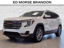 Thumbnail image of 2024 GMC Terrain at Brandon Auto Mall By Ed Morse