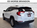 Thumbnail image of 2024 GMC Terrain at Brandon Auto Mall By Ed Morse