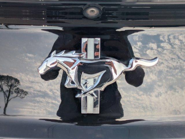Thumbnail image of 2016 Ford Mustang at JackWilsonChevrolet-NEW of Saint Augustine, FL