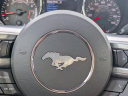 Thumbnail image of 2016 Ford Mustang at JackWilsonChevrolet-NEW of Saint Augustine, FL