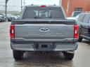 Thumbnail image of 2023 Ford F-150 at Bill Brown Ford