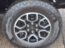Thumbnail image of 2023 Ford F-150 at Bill Brown Ford