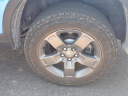Thumbnail image of 2024 Honda Ridgeline at Lou Fusz Toyota Scion - Used
