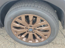 Thumbnail image of 2025 Subaru Forester at Subaru of Grand Blanc
