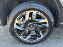 Thumbnail image of 2025 Subaru Forester at Subaru of Stamford