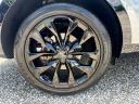Thumbnail image of 2022 Kia Sorento at Auto Connection LLC
