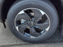 Thumbnail image of 2025 Nissan Rogue at Gandrud Nissan