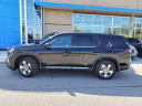 Thumbnail image of 2025 Honda Pilot at Gallatin Honda