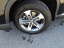 Thumbnail image of 2025 Honda Pilot at Gallatin Honda