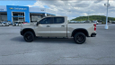 Thumbnail image of 2023 Chevrolet Silverado 1500 at Champion Chevrolet Cadillac