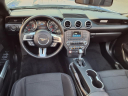 Thumbnail image of 2017 Ford Mustang at Mccarthy Ford