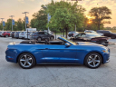 Thumbnail image of 2017 Ford Mustang at Mccarthy Ford