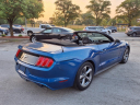 Thumbnail image of 2017 Ford Mustang at Mccarthy Ford