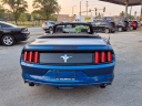 Thumbnail image of 2017 Ford Mustang at Mccarthy Ford