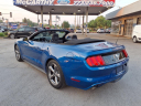 Thumbnail image of 2017 Ford Mustang at Mccarthy Ford