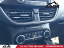 Thumbnail image of 2022 Ford Escape Hybrid at MtnViewNissanOfDalton-New of Dalton, GA