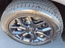 Thumbnail image of 2025 Honda Pilot at Bob Brady Auto Mall