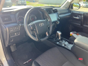 Thumbnail image of 2024 Toyota 4Runner at Old Fannin Autoplex