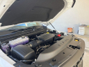Thumbnail image of 2025 Ram 1500 at University Dodge Ram