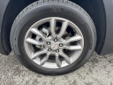 Thumbnail image of 2024 GMC Terrain at Cumberland Ford Lincoln