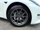 Thumbnail image of 2021 Tesla Model 3 at Auto Group of Louisville