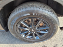 Thumbnail image of 2019 Dodge Grand Caravan at D'lux Motors Inc.