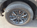 Thumbnail image of 2019 Dodge Grand Caravan at D'lux Motors Inc.