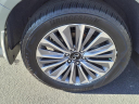 Thumbnail image of 2025 INFINITI QX80 at Infiniti Of Charlotte