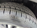 Thumbnail image of 2022 Nissan Pathfinder at Petro Nissan
