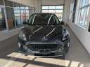 Thumbnail image of 2022 Ford Escape at Richardson Ford