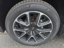 Thumbnail image of 2021 Chevrolet Suburban at Cook Chevrolet