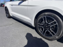 Thumbnail image of 2023 Ford Mustang at Dana Ford Lincoln