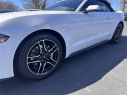 Thumbnail image of 2023 Ford Mustang at Dana Ford Lincoln
