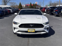 Thumbnail image of 2023 Ford Mustang at Dana Ford Lincoln
