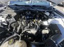 Thumbnail image of 2023 Ford Mustang at Dana Ford Lincoln