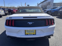 Thumbnail image of 2023 Ford Mustang at Dana Ford Lincoln