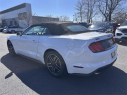 Thumbnail image of 2023 Ford Mustang at Dana Ford Lincoln