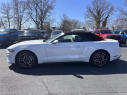 Thumbnail image of 2023 Ford Mustang at Dana Ford Lincoln