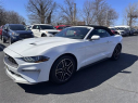 Thumbnail image of 2023 Ford Mustang at Dana Ford Lincoln